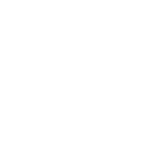 ShrimpVision Logo